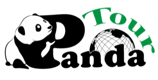 Ion Curmei